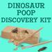 Dinosaur Poop Discovery Kit
